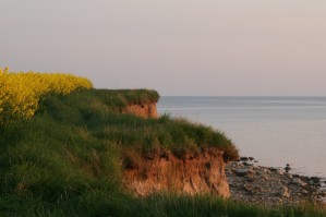 Frühling am Höft